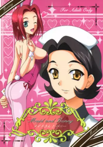 [Ishikari Shake Nabe Doukoukai (Takahiro Ringu)] Maid-san to Bunny (CODE GEASS: Lelouch of the Rebellion)