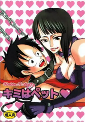 (C66) [PINK STAR (Urazawa Kaoru)] Kimi wa Pet (One Piece) [English] [Forbiddenfetish77]