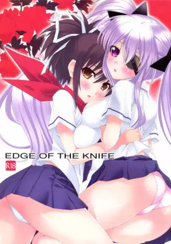 (C81) [Happy Paranoia, Shikkokuno J.P.S. (Wanashiro Giovanna, Hasumi Elan)] Edge Of The Knife (Senran Kagura)