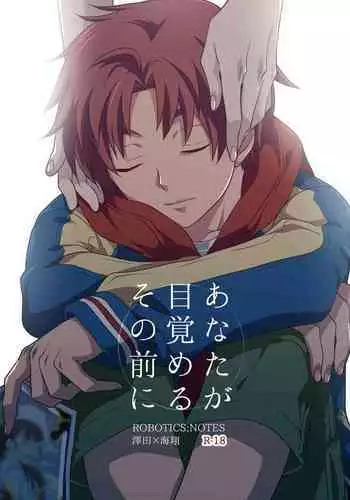 Anata ga Mezameru Sono Mae ni
