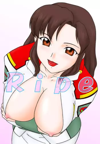 (SC19) [Parameter (S Parameter)] Ripe (GUNDAM SEED)