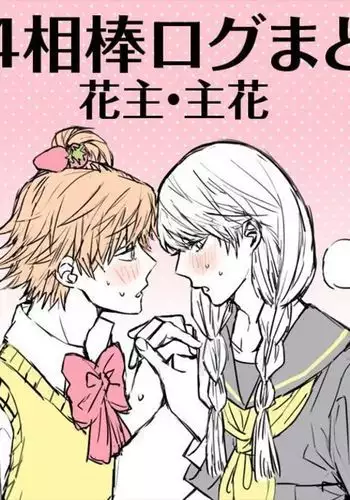 P4 Partner Log Collection 4