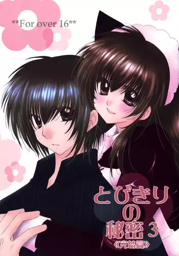 Tobikiri no Himitsu 3 <<Kanketsuhen>>