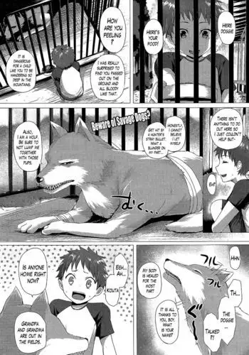 Chronicle of a Heisei Pleasuring Wolf