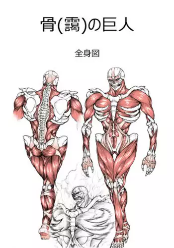 [Chaotic-Unknown] Ribs Prison (Attack on Titan)