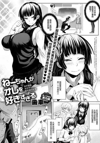 [Haguruma] Nee-chan ga Ore o Suki Sugiru | ????????????? (COMIC Anthurium 2018-07) [Chinese] [????] [Digital]