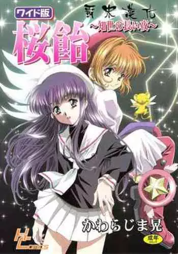 (C68) [Henreikai (Kawarajima Koh)] Sakura Ame Wide ban ~Tomoyo no Nagaiyoru~ 第一夜 (Card Captor Sakura) [霸宋漢化]