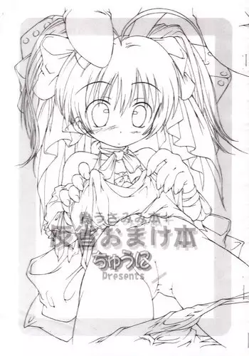 (SC13) [Chuuni (Kim Chii)] Nise Usamimi Bon + Hansei Omake Bon (Di Gi Charat)