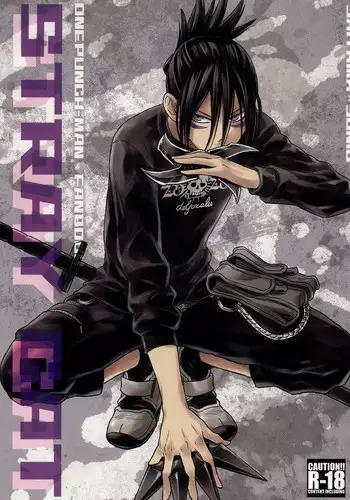 (C86) [LITHIUM (Yukimaru)] stray cat (One Punch Man) [English] [Cody Scans]