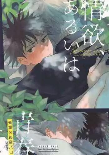 joyoku、aruihaseishun