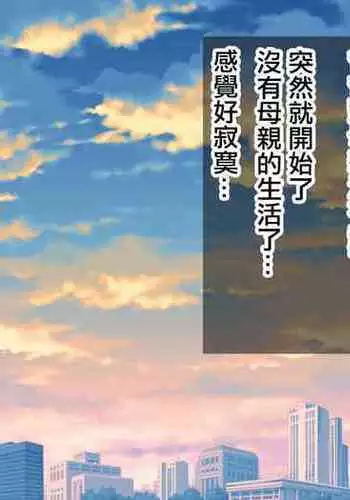 Oyaji to Saikon Shita Picchipichi no Gal Mama o Netotte Yarimashita